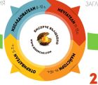 9447 деца определиха победителите в „Бисерче вълшебно“ 2018 9447 деца определиха победителите в „Бисерче вълшебно“ 2018
